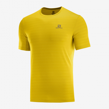 Футболка Salomon XA TEE M Lemon Curry / Heather