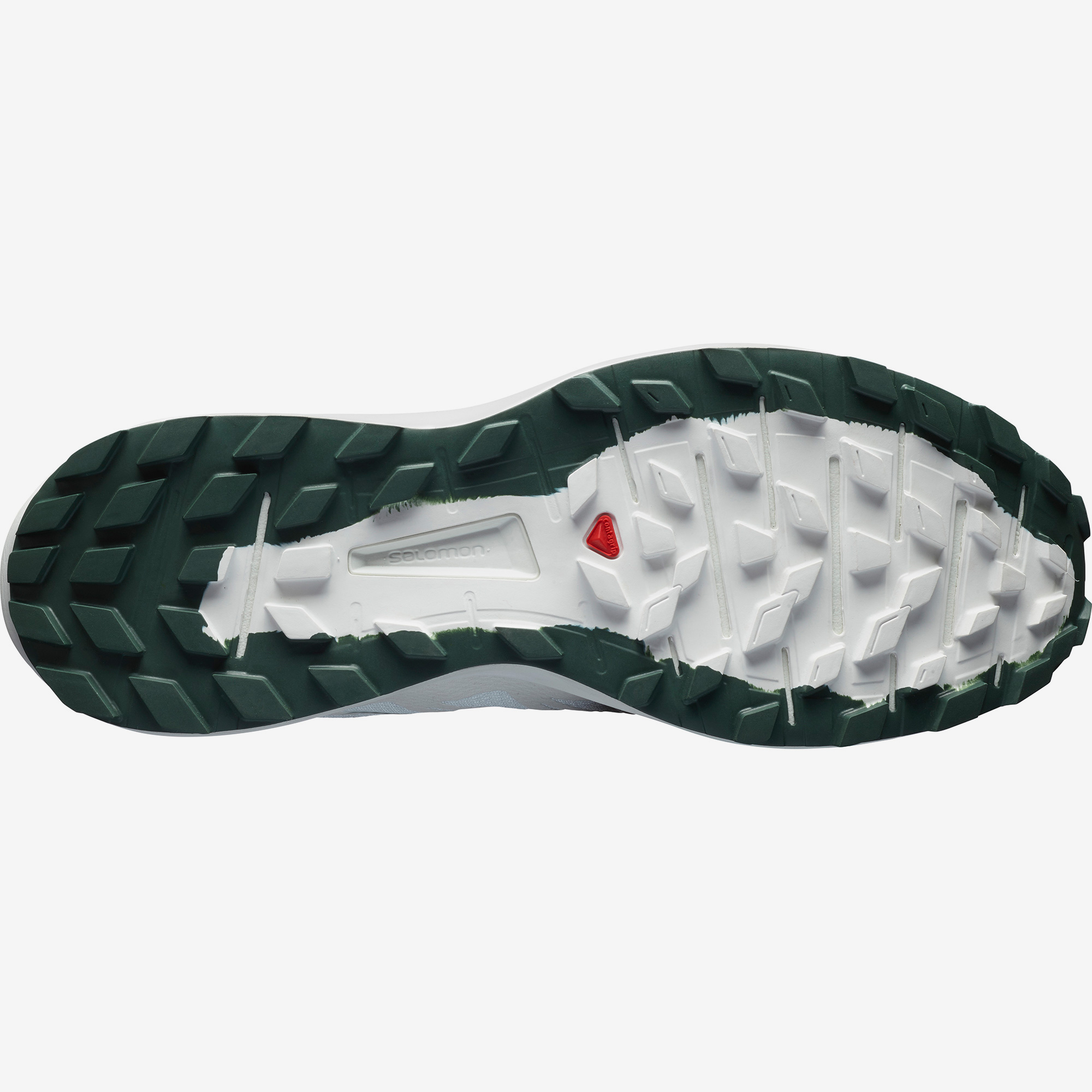 salomon sense ride white