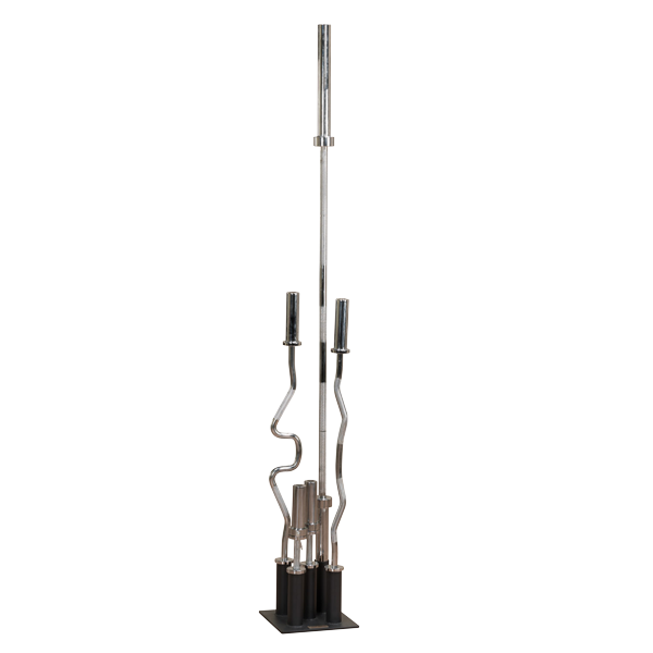 Подставка для олимпийских грифов профессиональная BODI SOLID GOBH-5