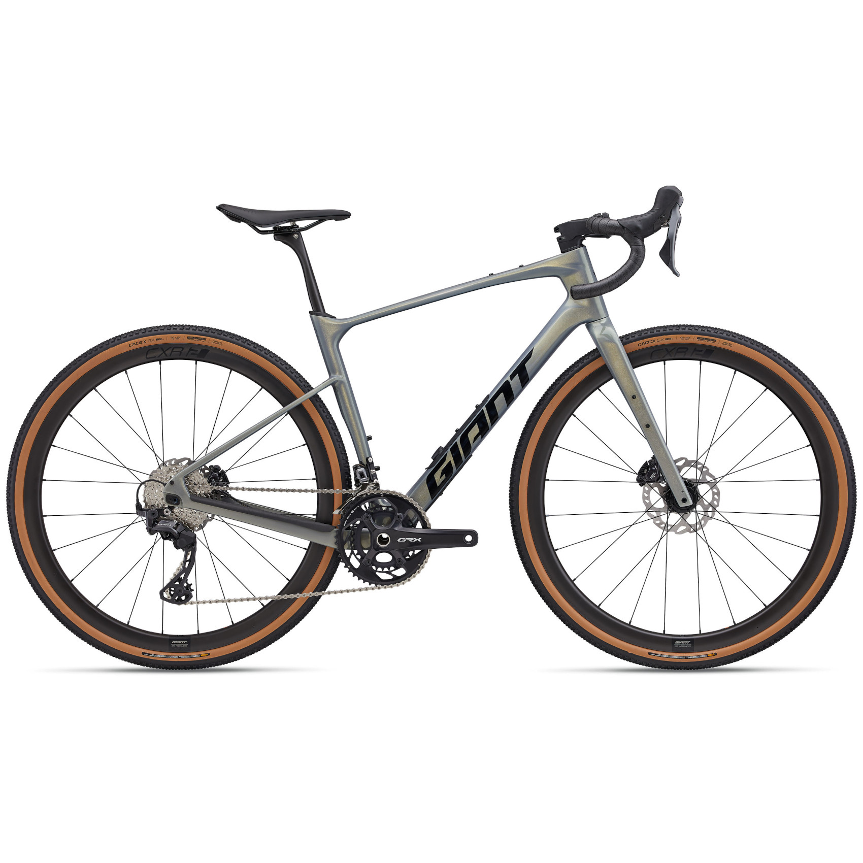 Giant Revolt Advanced 0 2025 Aurora Noise