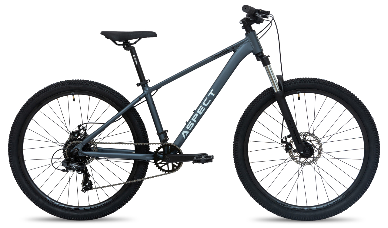 Aspect Radium 26 2026 Серый