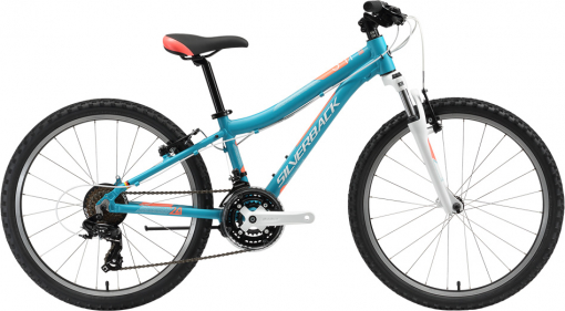 Silverback SENZA 24 2018