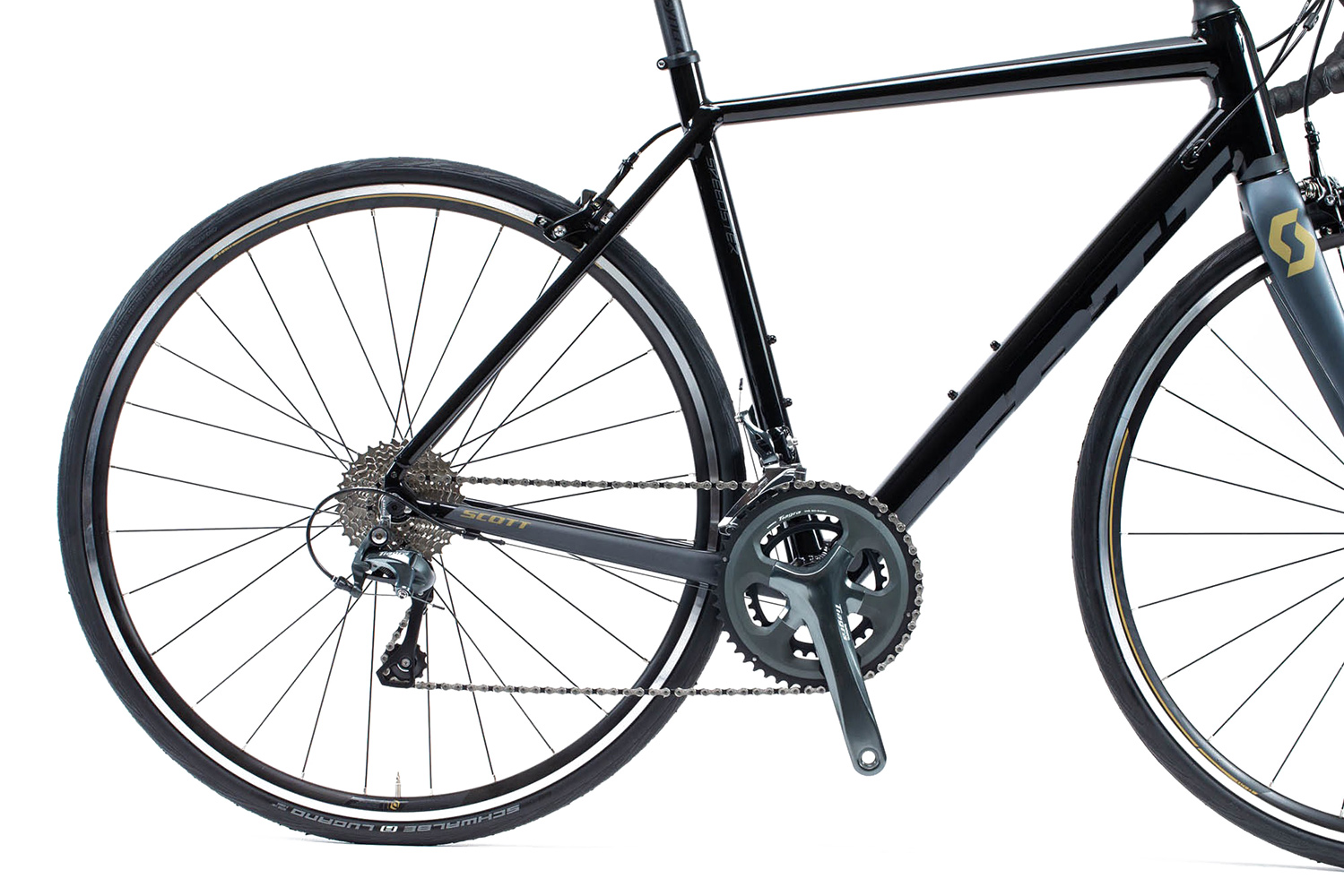 Speedster discount scott 2019