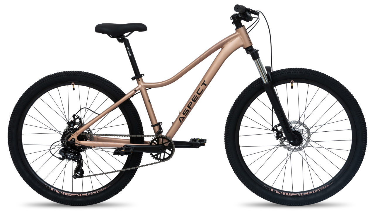 Aspect Oasis 26 2026 Бежевый