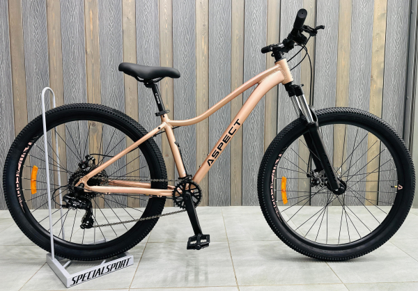 Aspect Oasis 27.5 2026 Бежевый