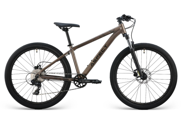Aspect Radium Pro 26 2025 Бежевый