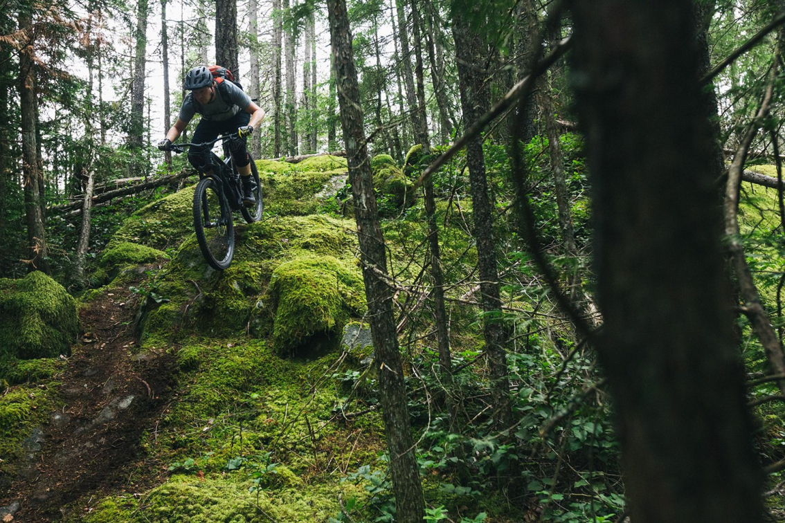 Купить Specialized Enduro FSR Comp 29/6Fattie 2018 Артикул 93618-5202, 93618-5205, 93618-5204, 93618-5203