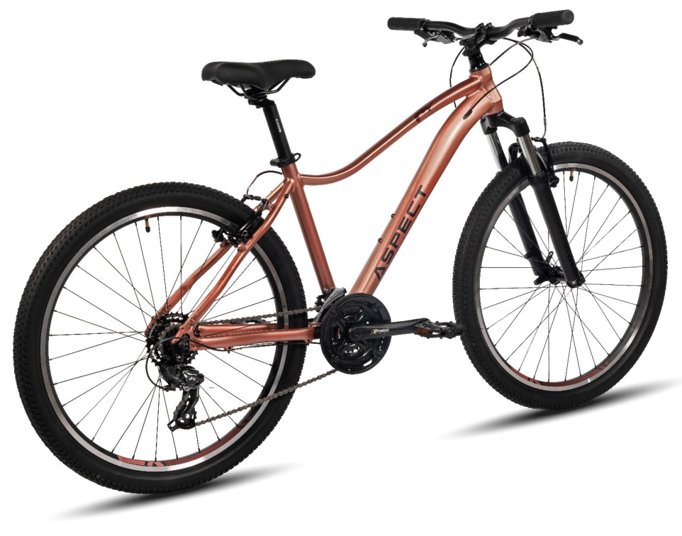 Купить Aspect Oasis 26 2024 Copper Peach Артикул 4640258341164, 4640258341157