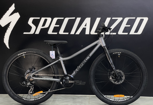 Aspect Winner Lite 24 2025 Серый