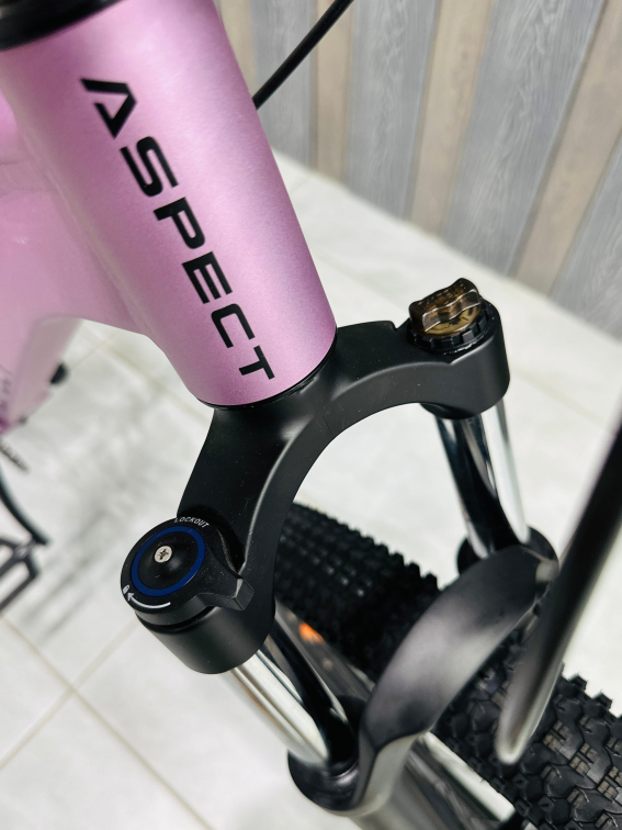 Купить Aspect Oasis Pro 27.5 2026 Фиолетовый Артикул 4660447850758, 4660447850741