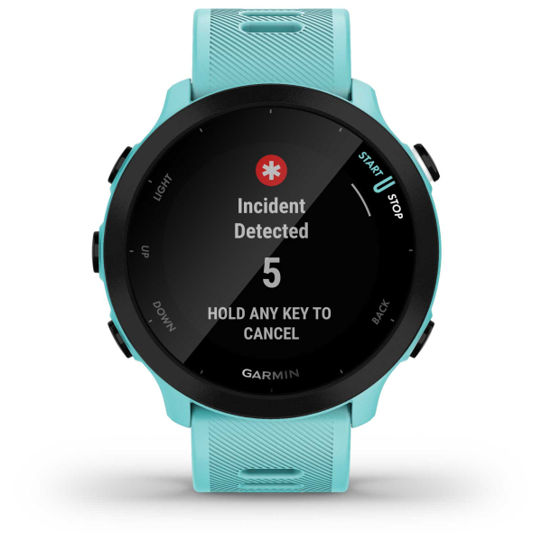 Спортивные часы Garmin Forerunner 55 GPS, Aqua