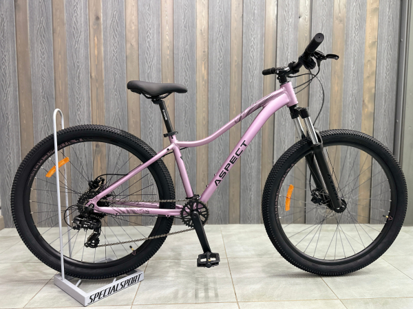 Aspect Oasis Pro 27.5 2026 Фиолетовый