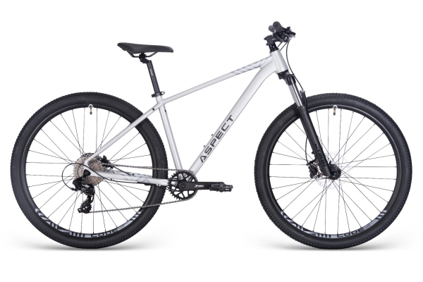 Aspect Nickel 29 2025 Серый