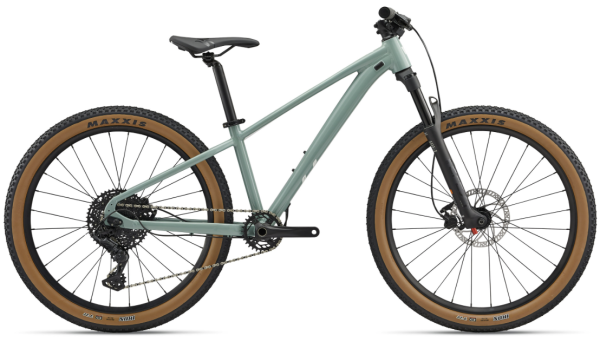 Liv STP 26 2024 BR Eucalyptus