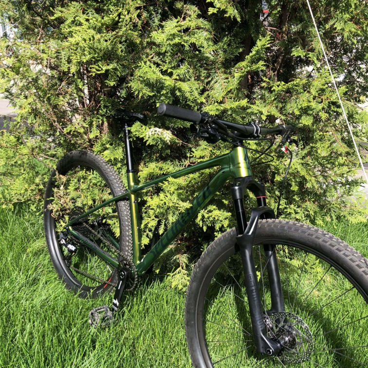 Купить Specialized Chisel Dsw 29 2021 Gloss Chameleon Snake Eye/Forest Green Артикул 71721-700300