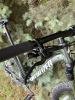 Купить Specialized Rockhopper Elite 29 Deore 1x11 Gloss Oak Green Metallic / Metallic White Silver Артикул 