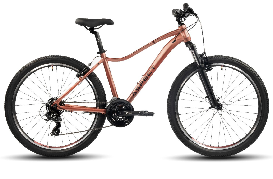 Купить Aspect Oasis 26 2024 Copper Peach Артикул 4640258341164, 4640258341157