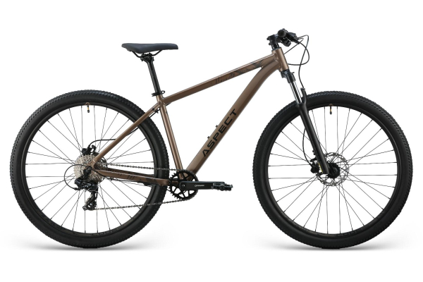 Aspect Radium Pro 29 2025 Бежевый