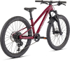 Подростковые,  для мальчиков, старше 8-ми лет Specialized Riprock 24 Expert 2024 Gloss Raspberry / White Артикул 96522-3411