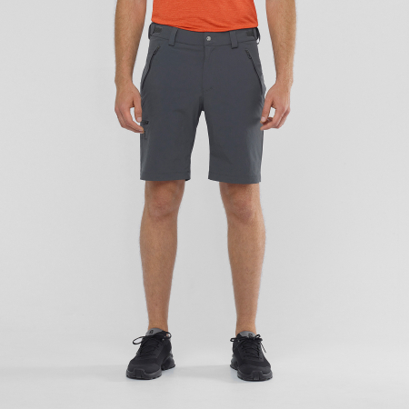 Шорты Шорты Salomon WAYFARER SHORT M Ebony Артикул 193128175474, 193128175481, 193128175467, 193128171629