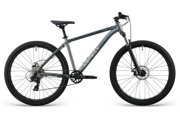 Aspect Radium 27.5 2025 Серый