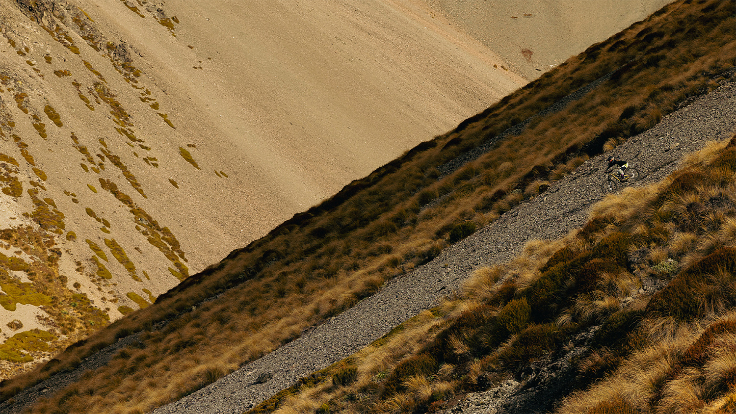 Specialized STATUS 2 170 DH 2024 Satin Metallic Spruce / Purple Haze