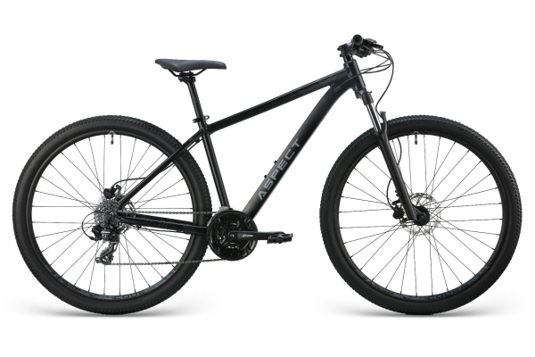 Aspect Radium 3X Pro 29 2025 Черный