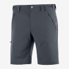 Шорты Шорты Salomon WAYFARER SHORT M Ebony Артикул 193128175474, 193128175481, 193128175467, 193128171629