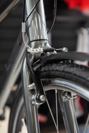 Specialized alibi 2018 shop