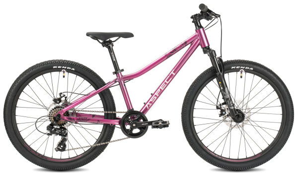 Aspect Aura 24 2026 Фиолетовый