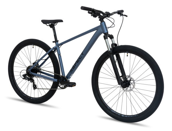 Aspect Radium Pro 29 2026 Серый