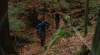 Купить Scott Spark RC 900 Team 2019 оранжевый Артикул 7613368404132