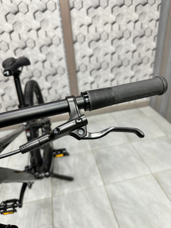 Купить Silverback SE:SERIES 10 29 2026 Gloss Rainbow Pearl/Matt Black Артикул 4816026331402, 4816026331396