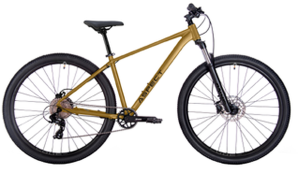 Aspect Radium Pro 27.5 2027 Золотой