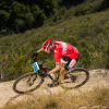 Купить Specialized Crave Pro 29 2014 Артикул 