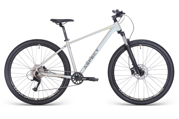 Aspect Nickel Pro 29 2025 Бежевый