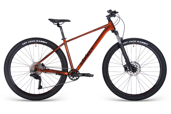Aspect Nickel Elite 29 2025 Оранжевый