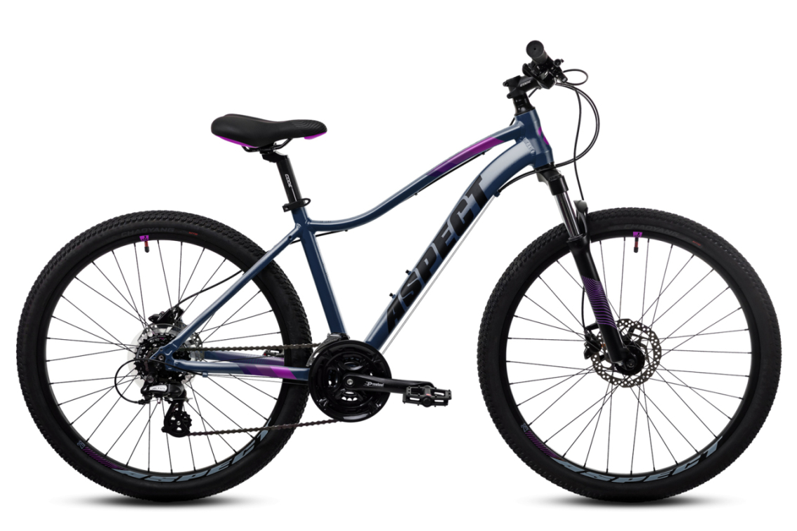 Купить Aspect Oasis HD 2022 черный-фиолетовый Артикул 9980070767014, 101669894373, 101764621144