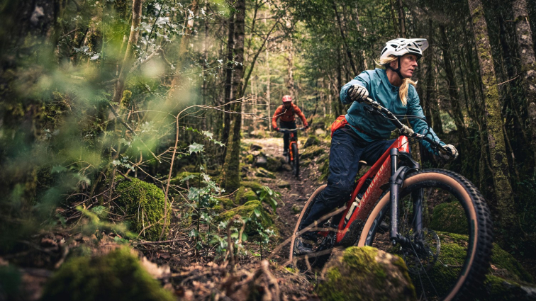 Покрышки Покрышка 29 Specialized Eliminator Grid Trail 2Bliss Ready T7 Soil Searching Артикул 00121-3276, 00121-3275