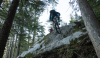 Купить Scott Spark 900 Ultimate 2019 Артикул 7613368404385