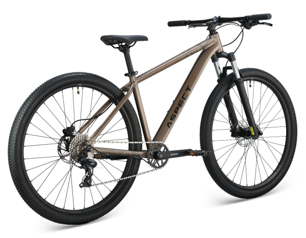 Aspect Radium Pro 29 2025 Бежевый