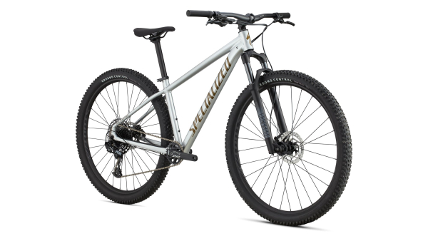 Specialized Rockhopper Expert 29 2025 Gloss Silver Dust / Satin Burnt Gold Metallic