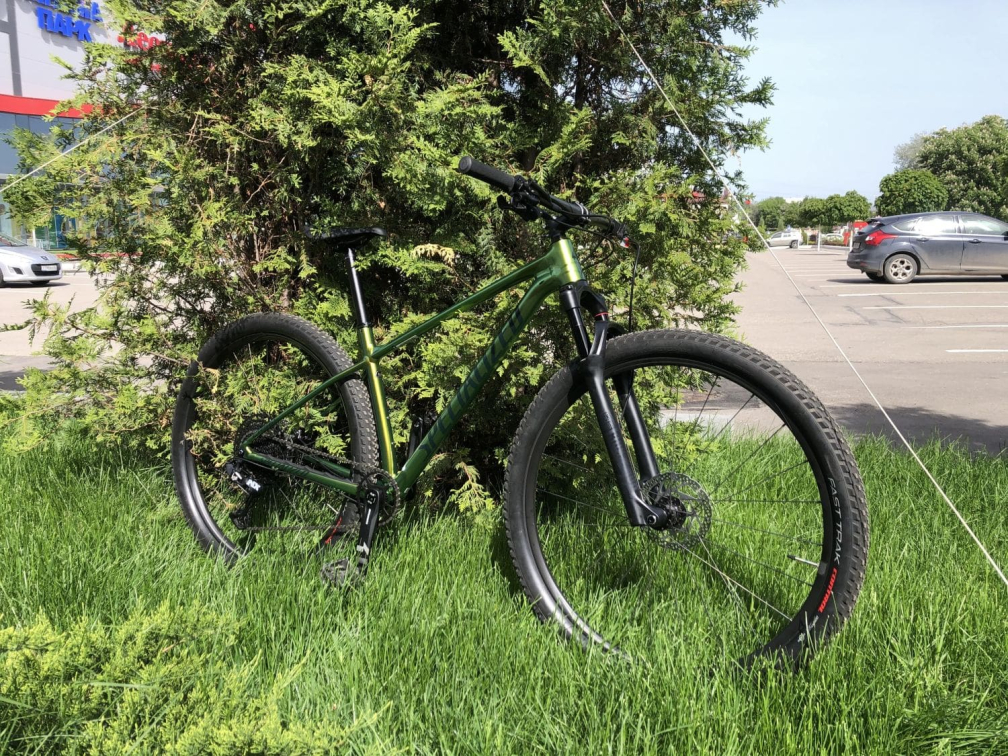 Купить Specialized Chisel Dsw 29 2021 Gloss Chameleon Snake Eye/Forest Green Артикул 71721-700300