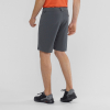 Шорты Шорты Salomon WAYFARER SHORT M Ebony Артикул 193128175474, 193128175481, 193128175467, 193128171629