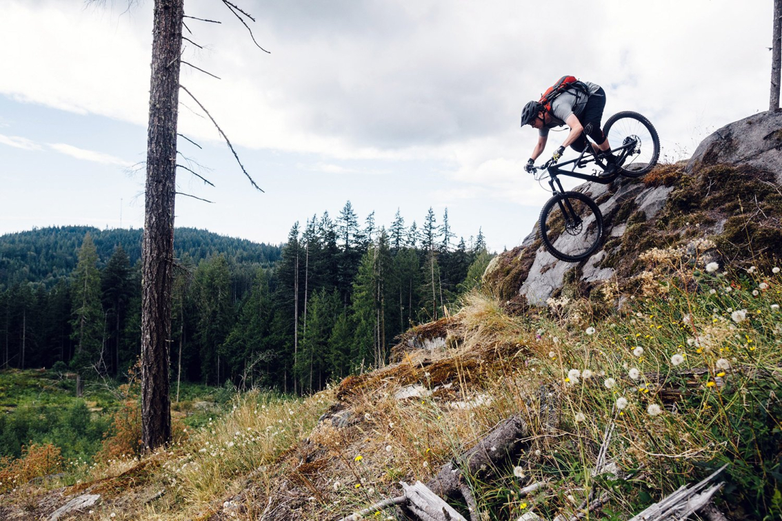 Купить Specialized Enduro FSR Comp 29/6Fattie 2018 Артикул 93618-5202, 93618-5205, 93618-5204, 93618-5203