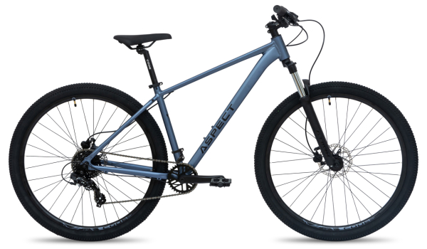 Aspect Radium Pro 29 2026 Серый