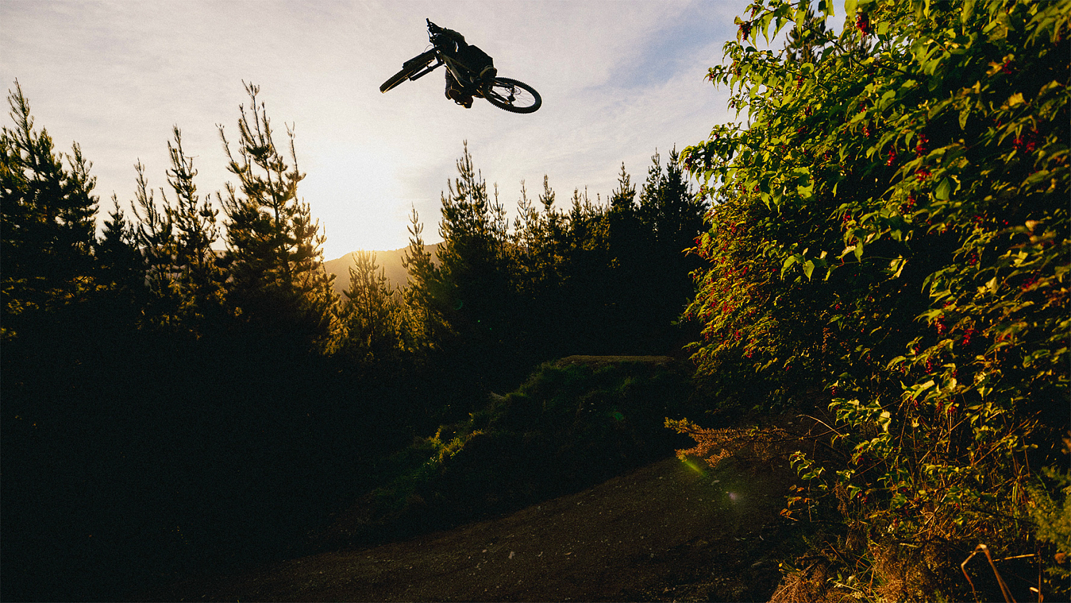 Specialized STATUS 2 170 DH 2024 Satin Metallic Spruce / Purple Haze