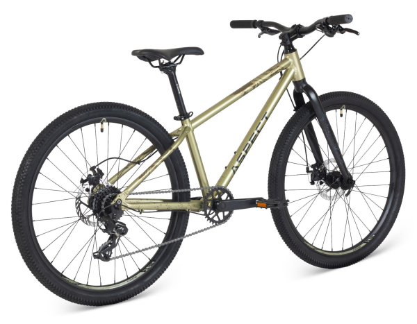 Aspect Winner Lite 26 2025 Светлый-зеленый