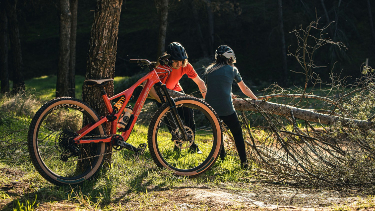 Покрышки Покрышка 29 Specialized Eliminator Grid Trail 2Bliss Ready T7 Soil Searching Артикул 00121-3276, 00121-3275