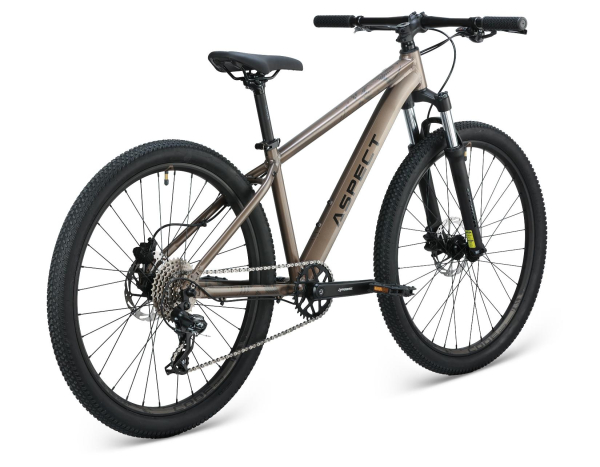 Aspect Radium Pro 26 2025 Бежевый